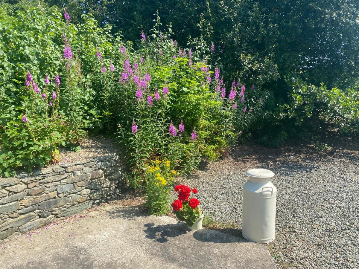 Hawthorn Cottage Greencastle  Exterior foto